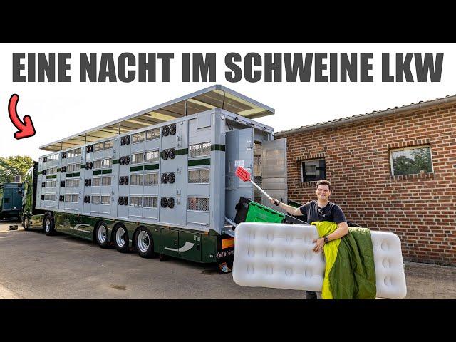 Eine Nacht im Schweine-LKW! + Parookaville | AgrarNils