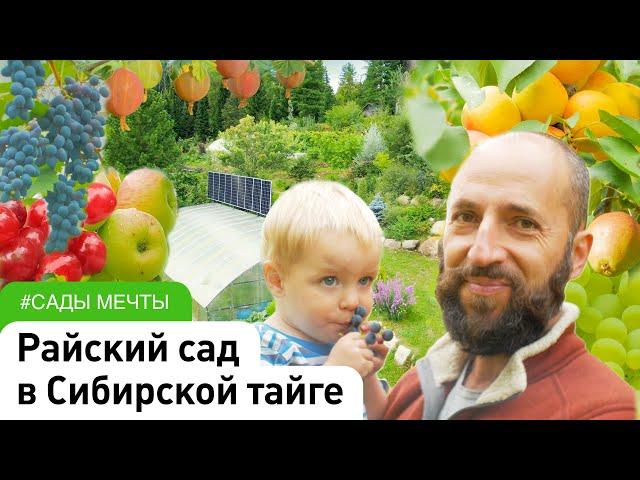 Ландшафтный дизайн участка. Обзор плодово-ягодного сада. #СадыМечты #ДенисСафронов #СадовыйЭксперт