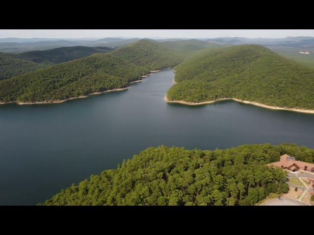 Discovering Arkansas' Hidden Gem At Fat Possum Farms