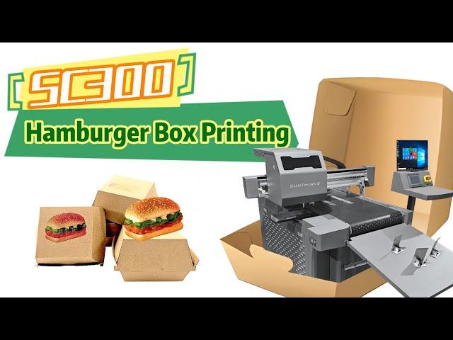 Sunthinks SC300 A3 Single Pass Digital Printer For Hamburger Kraft  Boxes Printing.