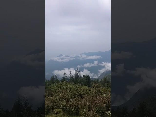 Moir point kodaikanal #shortsfeed #shortsviral #moirpoint #kodaikanal #tranding #shorts #viral