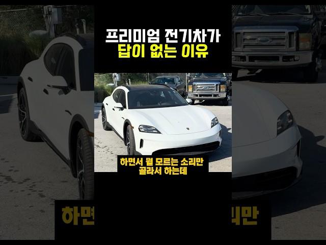 프리미엄 전기차가 답이 없는 이유