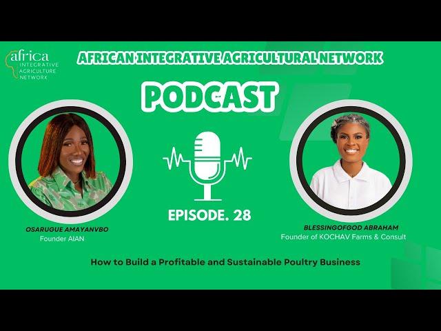 How to Build a Profitable and Sustainable Poultry Business
