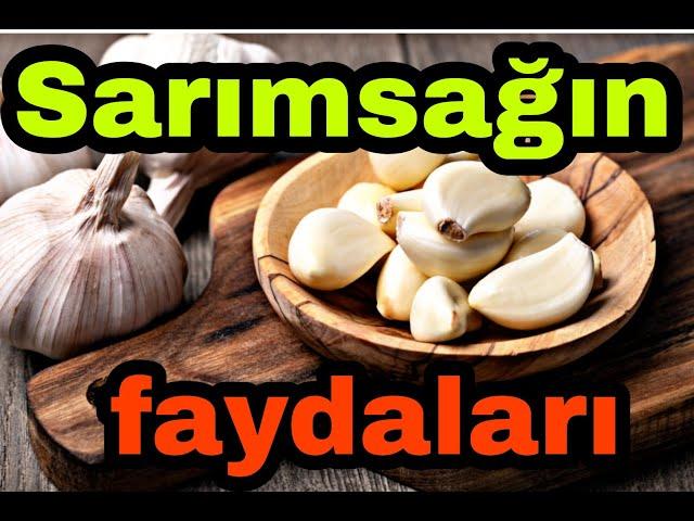 Sarımsağın faydaları. Sarımsaq haqda faydali melumatlar