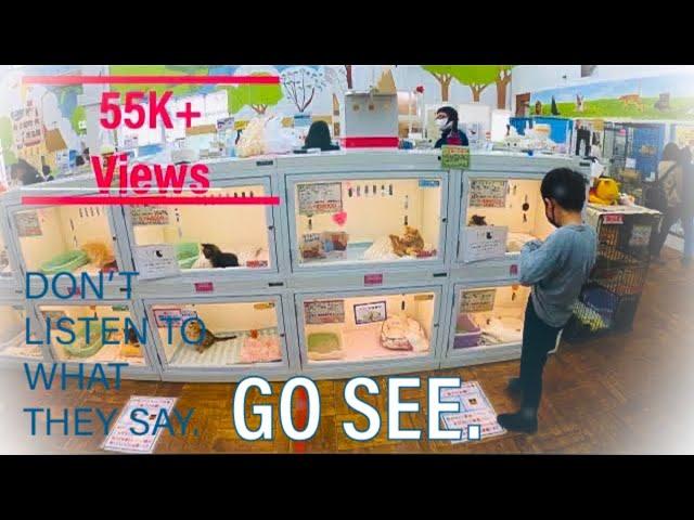 Best pet store 2022 4K |  Joyful Honda  | Pet shop Japan