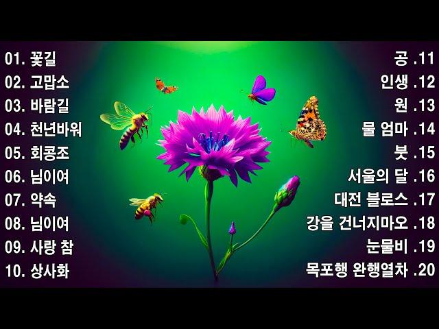 감성 트로트 모음 KPOP (TROT) PLAYLIST️ ( 꽃길.상사화.여인의 눈물.회룡포.바람길...)