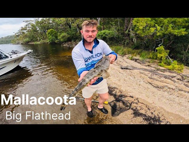 Catching Big Flathead!!! - Mallacoota day 1