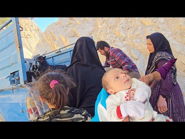 Finally, it's time to sell the goats: Atabak and Afsaneh's journey