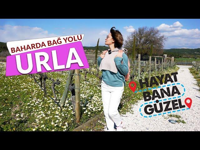 İZMİR'İN YÜKSELEN DEĞERİ "URLA - BAĞ ROTASI" - HAYAT BANA GÜZEL