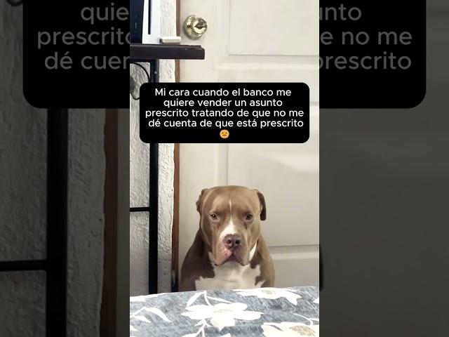 MI CARA CUANDO EL BANCO ME QUIERE VENDER UN ASUNTO