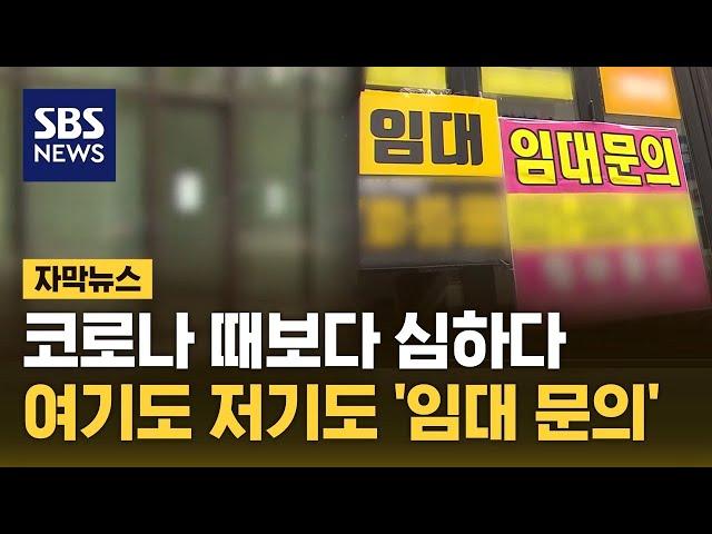 코로나 때보다 심하다…여기도 저기도 '임대 문의' (자막뉴스) / SBS