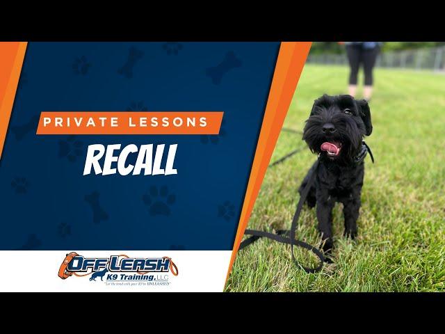 RECALL (COME) LESSON | PRIVATE DOG TRAINING LESSONS