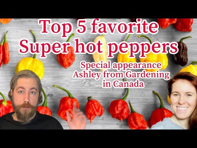 My top favorite super hot peppers! Plus tips! Special guest Ashley from Gardening in Canada !