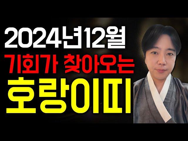 2024년 하반기 금전운의 상승, 기회가 찾아오는 12월 호랑이띠 운세는?