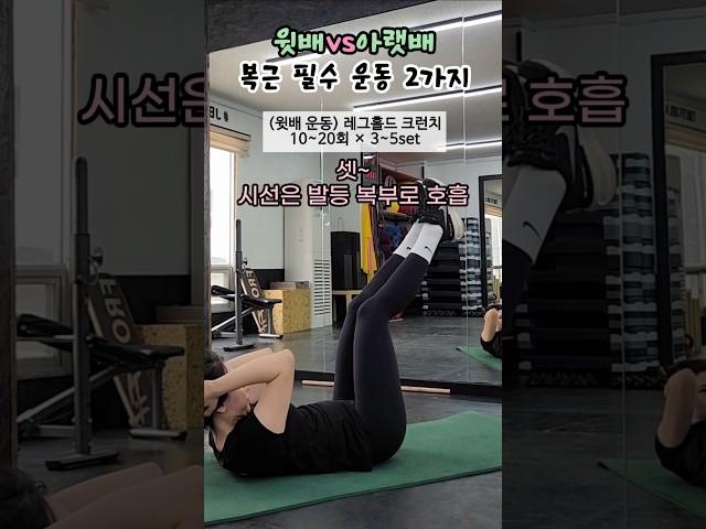 윗배 vs 아랫배 복근 필수 운동 2가지