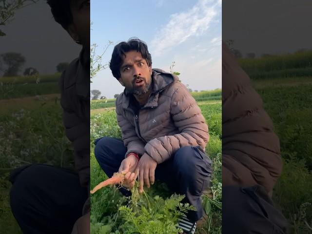Guliyo v/s master ji #rodiyoguliyo #rubygourrajasthani #viralvideo #funny