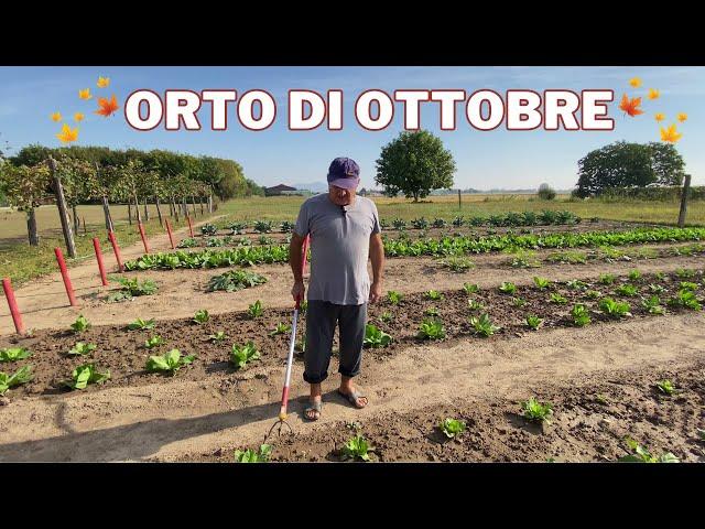 ORTO a OTTOBRE: gli ORTAGGI che COLTIVO!