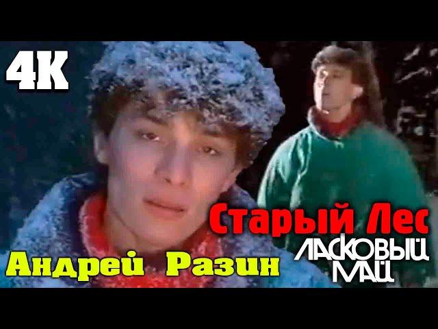 Ласковый Май / Андрей Разин - Старый лес (Клип  Видео 4K )