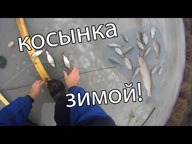 Рыбалка на косынки! на лыжах ставлю косынки! тонкий лёд! как поставить косынку зимой! косынки!