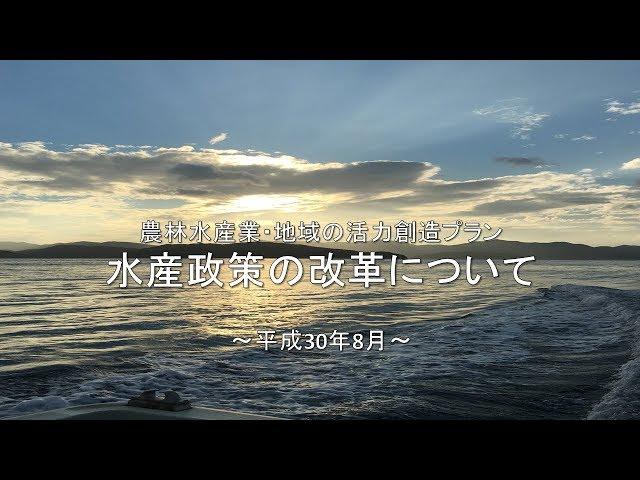 「農林水産業・地域の活力創造プラン～水産業改革～」