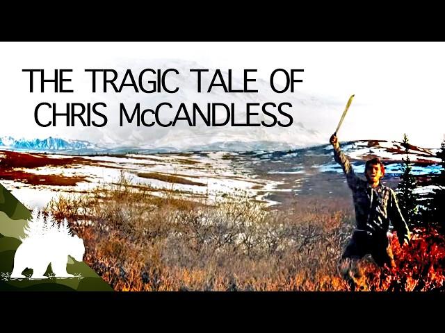 113 Days of Survival: Chris McCandless' Tragic Alaskan Odyssey