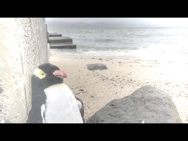 Five Inventi Portrait Solos by Peter de Jager: V Penguins