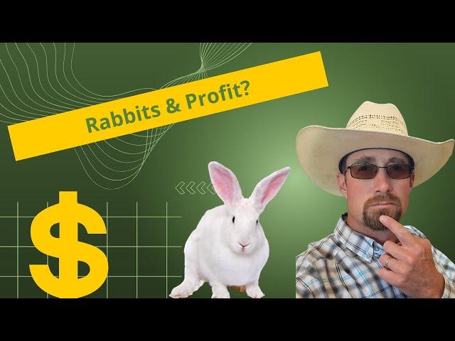 How to make an income with Meat Rabbits