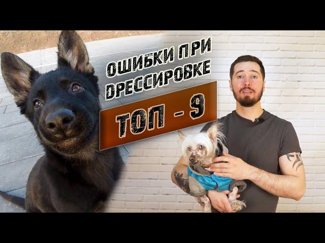 Топ - 9 ошибок при дрессировке собаки