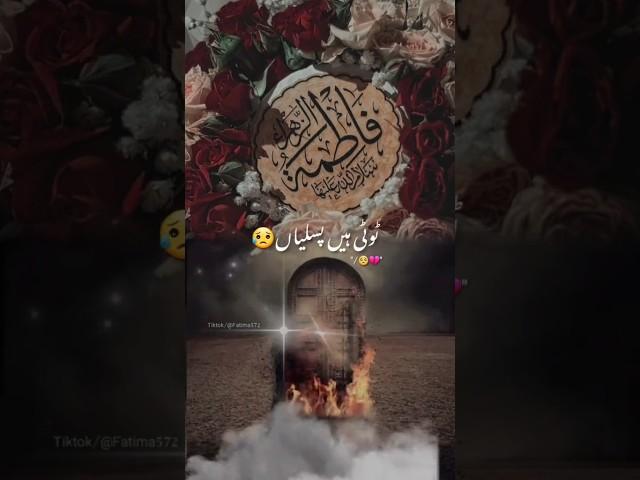 Ayam e Fatmiya Noha 2024 | Zakhmi Hain Fatima (sa) Mir Hasan Mir New Noha 2024 [ Bibi Fatima ] Noha