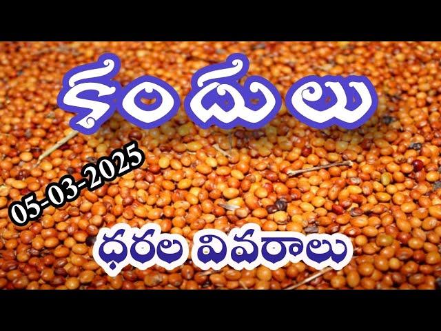 కందులు ధరల వివరాలు 05-03-2025