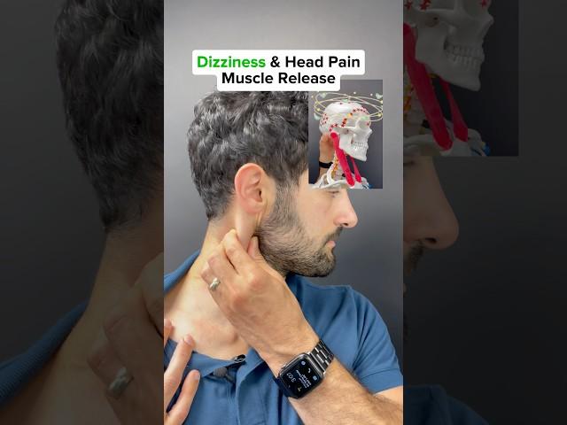 Release this muscle to relieve dizziness & head pain! #dizziness #dizzy #neckpain #scm