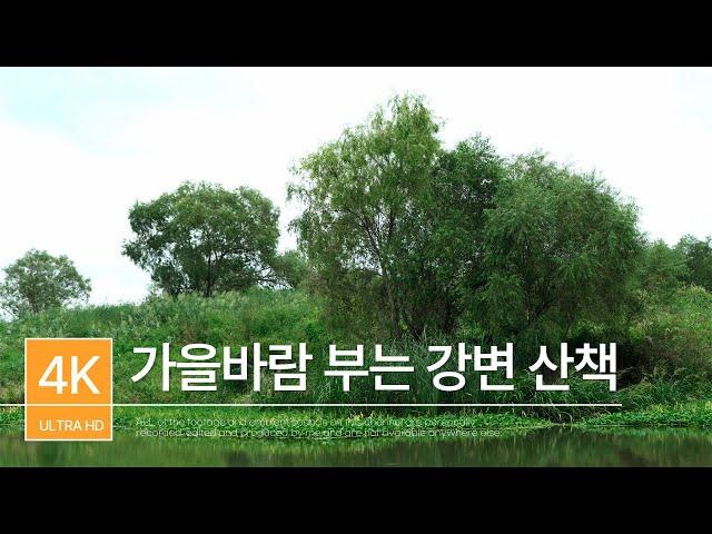 가을바람 부는 강변 산책 | 플리 | 힐링음악 | PLAYLIST | ㅣSONY A7M4ㅣAutumn windy riverside