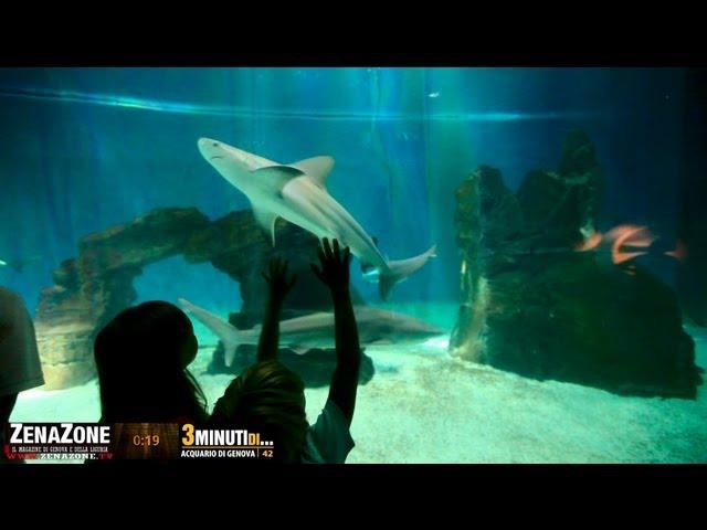 3 Minuti di ... Acquario di Genova - Nuova Vasca dei Delfini