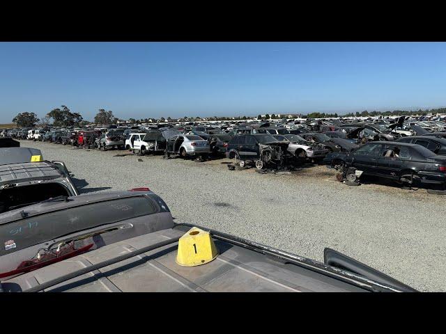 Junkyard Graveyard of German Beasts of the Audobahn: Mercedes-Benz C126, R129, W124, W123, BMW E30