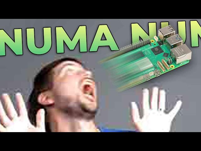 NUMA NUMA make Raspberry Pi go ZOOMA