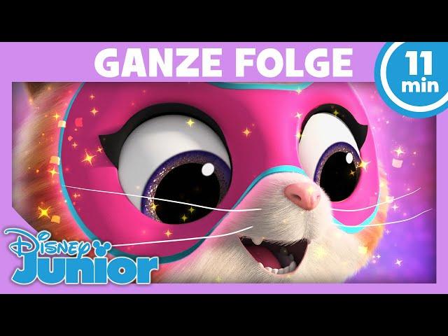 Die SuperKitties und die Angst vor dem Feuerwerk GANZE FOLGE 1 | SuperKitties