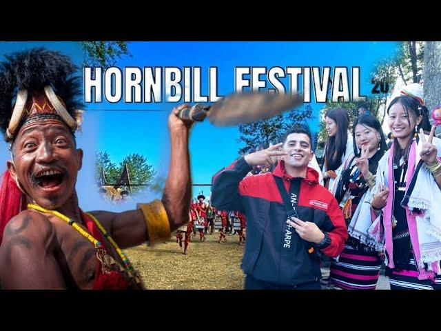 HORNBILL FESTIVAL  India's Grandest Tribal Celebration l