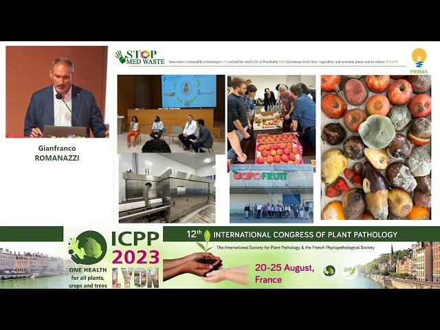 ICPP2023: Management of postharvest diseases in Mediterranean countries to reduce food waste