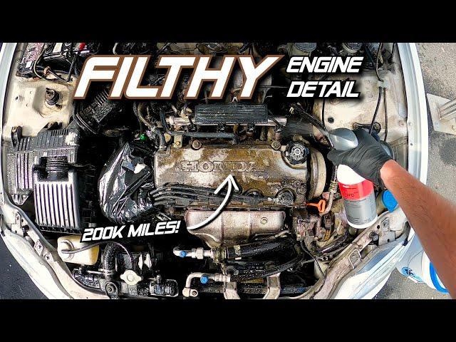 FILTHY Engine Bay Detail on a 200k Mile Honda Civic | Start to Finish