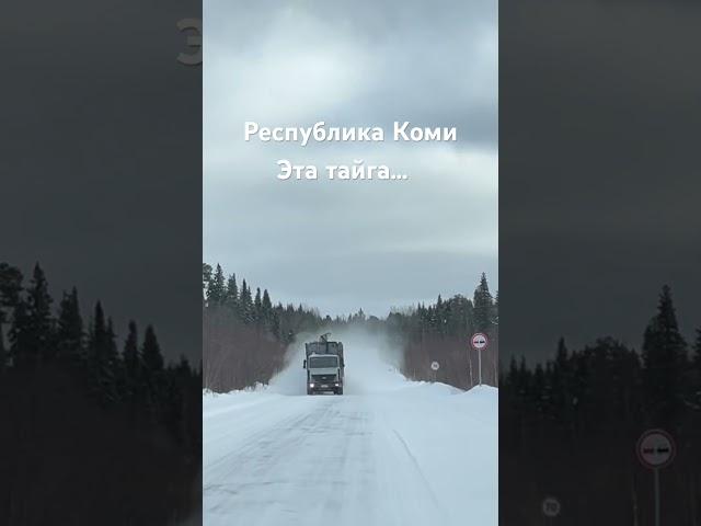 #Якша …эта тайга…Республика Коми…08.03.2024