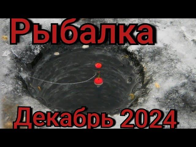 Рыбалка на поплавок 8 декабря 2024 г.Первый лёд 2024-25 опасный и щедрый!Разломы по всей реке!