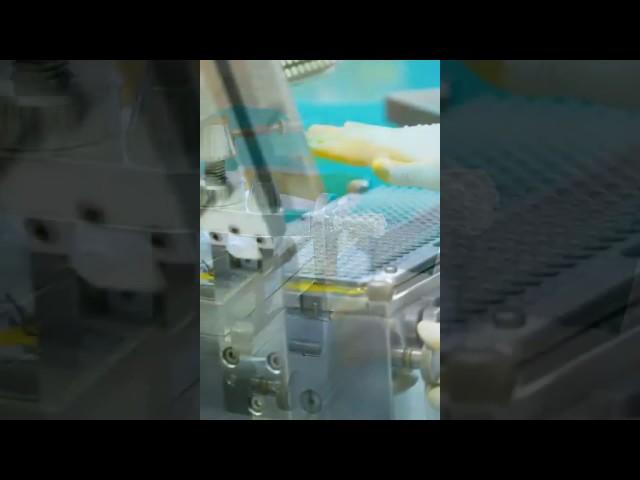 Produktion von Kurkuma Kapseln bei kingnature