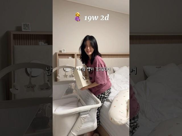 19주 2일 : 또 한번 염색체 문제