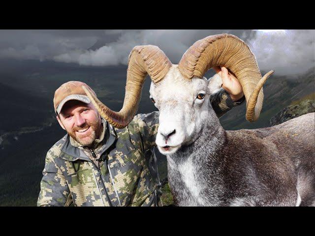 An ancient Stone sheep! Hunting 13 year-old Ram in British Columbia