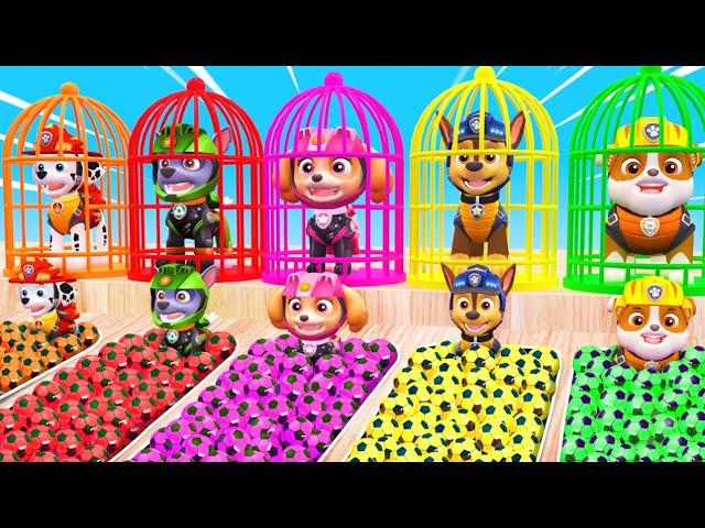 PAW Patrol Guess The Right Door ESCAPE ROOM CHALLENGE Animals Cage Game Cow Elephant Gorilla T-Rex