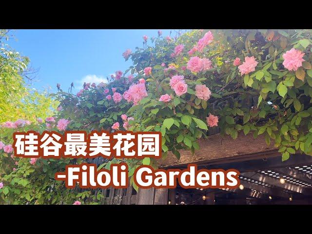 硅谷最美花园 Filoli Historic House& Gardens