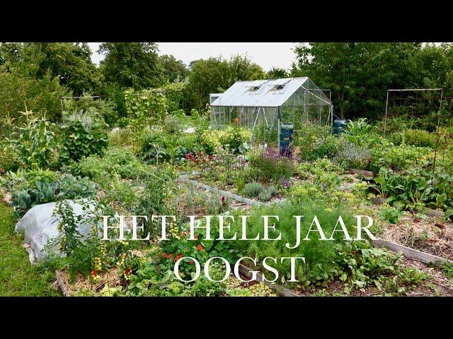 Het hele jaar oogsten uit je PERMACULTUUR MOESTUIN