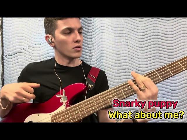 ️‍CRAZY Bass Super Cover for Snarky Puppy 