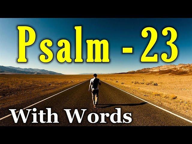 Psalm 23 Reading: Finding Peace in the Shepherd's Care (With words - KJV)