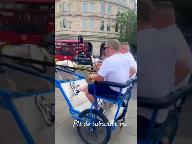 london Leicester Square #travel #trending #london #hostellife #horse #horselovers